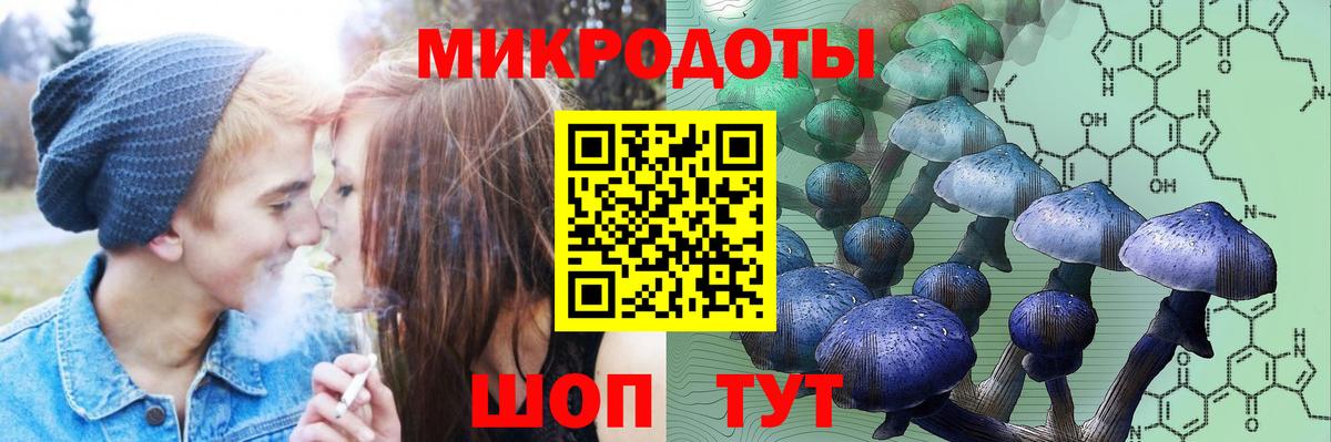 Вичуга  Галлюциногенные грибы Psilocybine cubensis  Вход с VPN  Галлюциногенные грибы ЛСД 