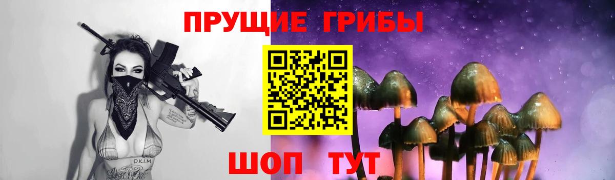 Псилоцибиновые грибы GOLDEN TEACHER Вичуга